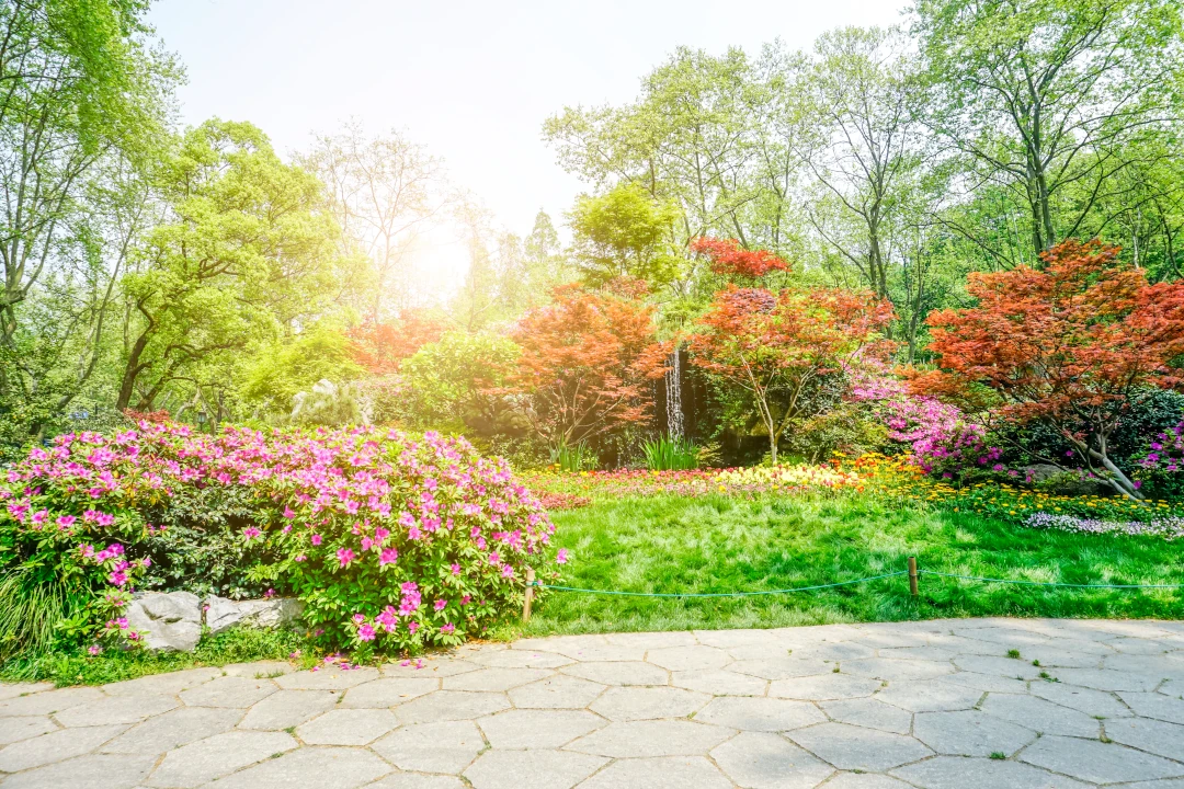 giardino
